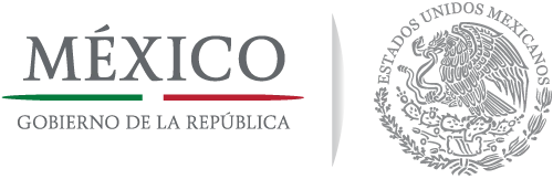 Logo Gobierno México
